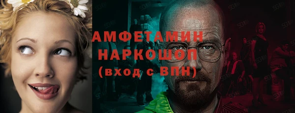 гашик Алексеевка