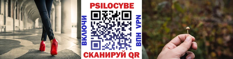 Галлюциногенные грибы мицелий  Купить где  Мичуринск 